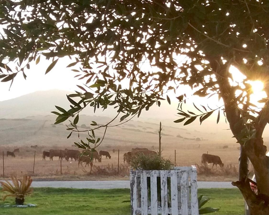 Appartamento El Cortijillo De Tarifa Esterno foto